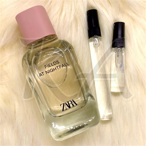 zara hibiscus perfume dupe|zara fields at nightfall dupe.